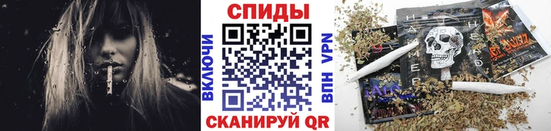 Бутират BDO  Купить закладки  Вязьма 