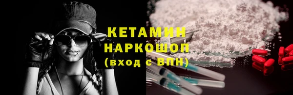 трава Кодинск